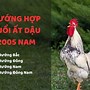 Ất Dậu 2005 Năm 2023 Bao Nhiêu Tuổi