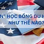 Bỏ Trốn Du Học Mỹ Tại Việt Nam 2024 Mới Nhất