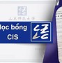 Các Trường Có Học Bổng Cis 1 Năm Tiếng