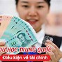 Du Học Trung Quốc Tiktok Là Gì 2024