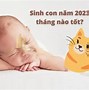 Quý Mão 2023 Sao Gì Chiếu Mệnh