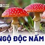 Y Tá Hồi Sức Gây Mê Tiếng Anh Là Gì